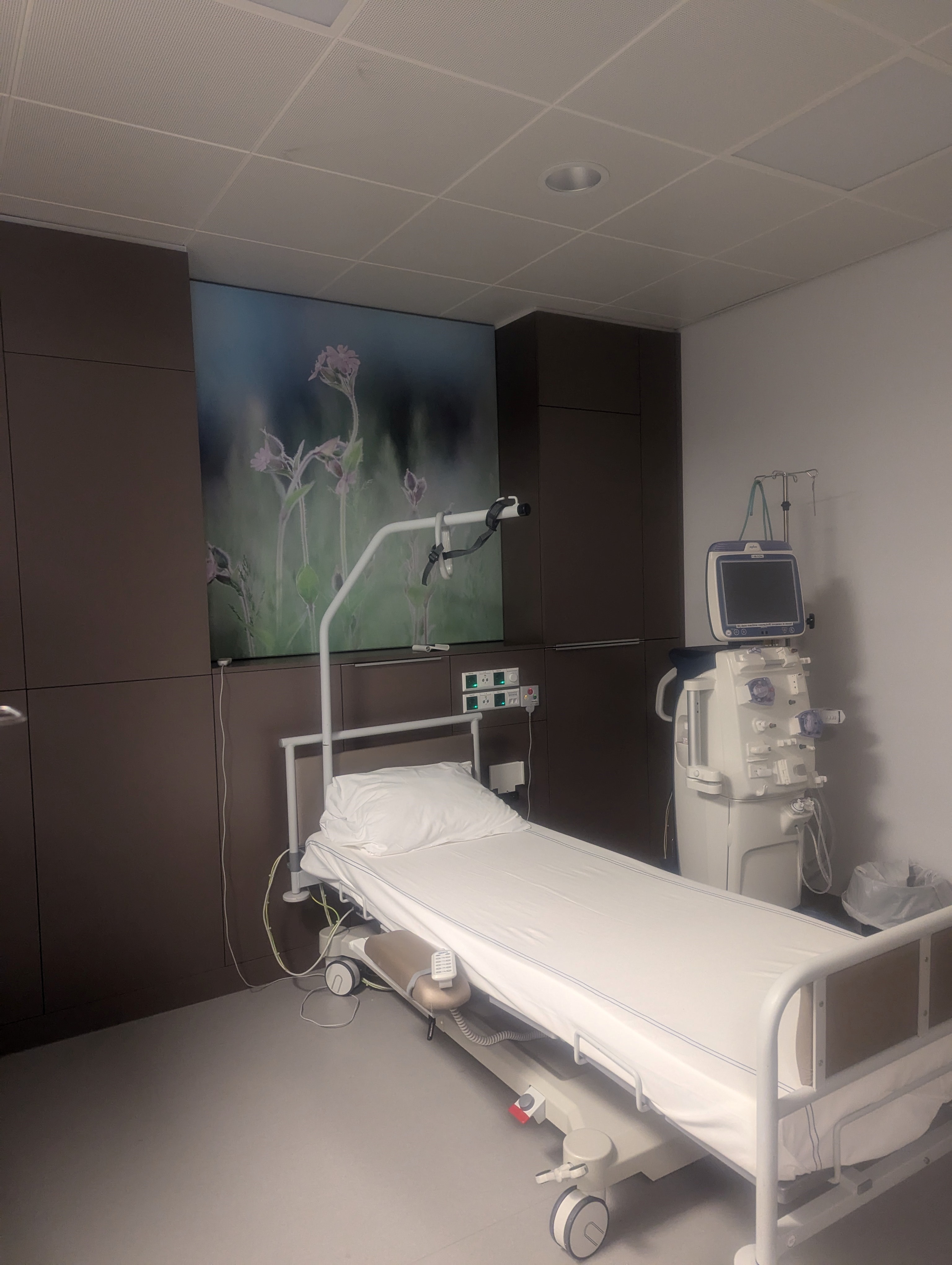 A hospital bed with a picture behind it of flowers 